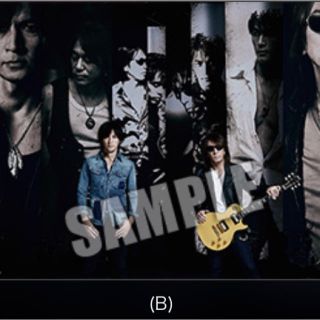 B'z HINOTORI 会場限定 非売品 ポスター B SCENES(ミュージシャン)