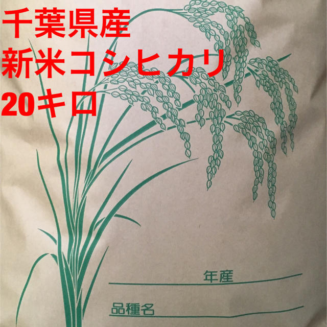 食品/飲料/酒30年千葉県産新米コシヒカリ20㎏