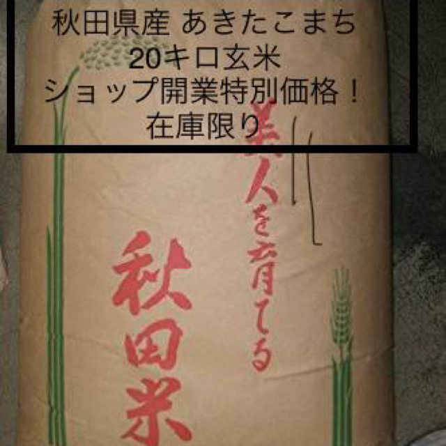 秋田県産 あきたこまち 玄米 20キロ - 米/穀物