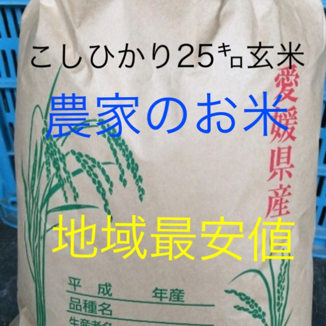 食品/飲料/酒お米 こしひかり  25㎏ 玄米 美味しくなければ返金