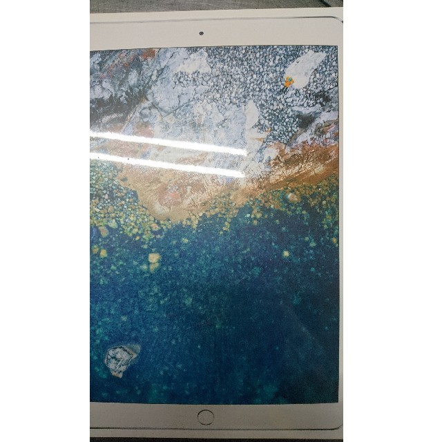 世界の iPad Pro 10.5インチ Wi-Fi 256GB MPF02J/A タブレット