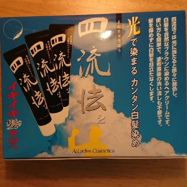 四流法2 白髪染め10個セット