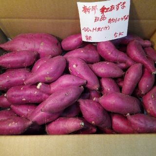 熊本県産 『紅はるか』焼き芋(大)サイズ 約20キロ(つの様専用