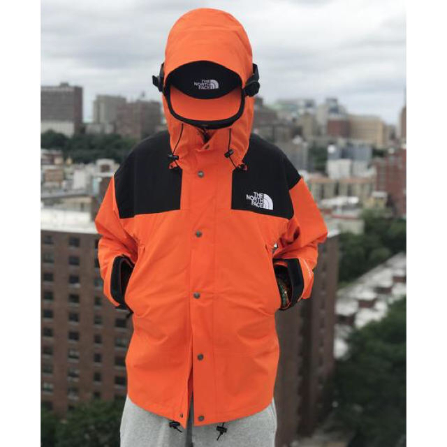 THE NORTH FACE(ザノースフェイス)のザノースフェイス マウンテンジャケット 1990 GTX メンズのジャケット/アウター(ナイロンジャケット)の商品写真