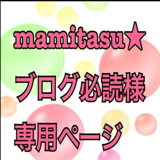 mamitasu様 専用(その他)