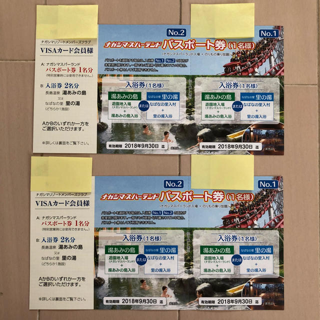 ナガシマスパーランド パスポート券 大人2枚