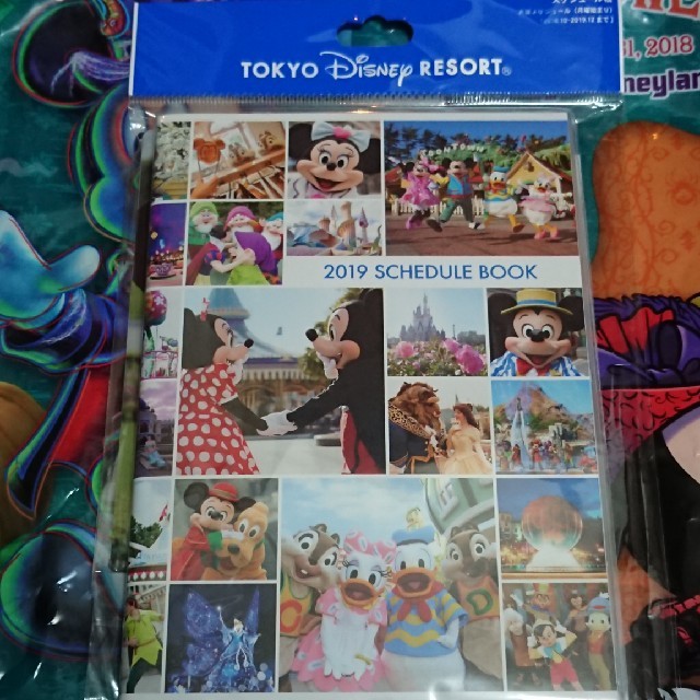 Disney 東京ディズニーリゾート限定 実写 スケジュール帳の通販 By Next ディズニーならラクマ