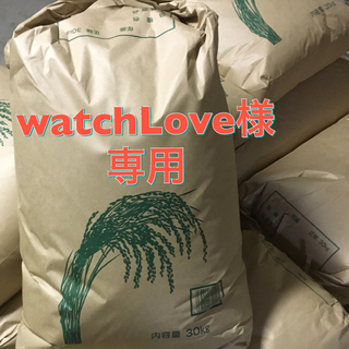 watchLove様専用  玄米♡新米こしひかり30kg(米/穀物)