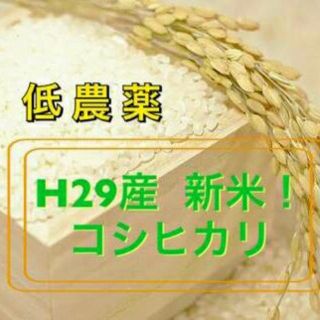 会津産‼一等米コシヒカリ25kg‼(米/穀物)