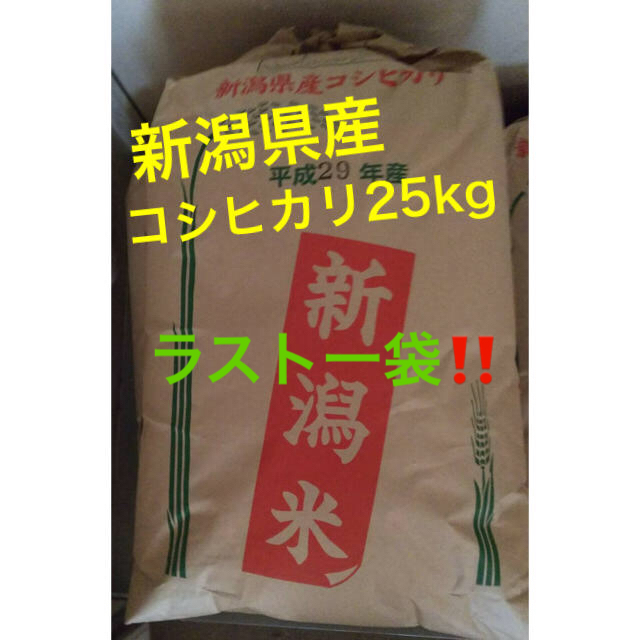 最終　コシヒカリ　新潟県産　米/穀物