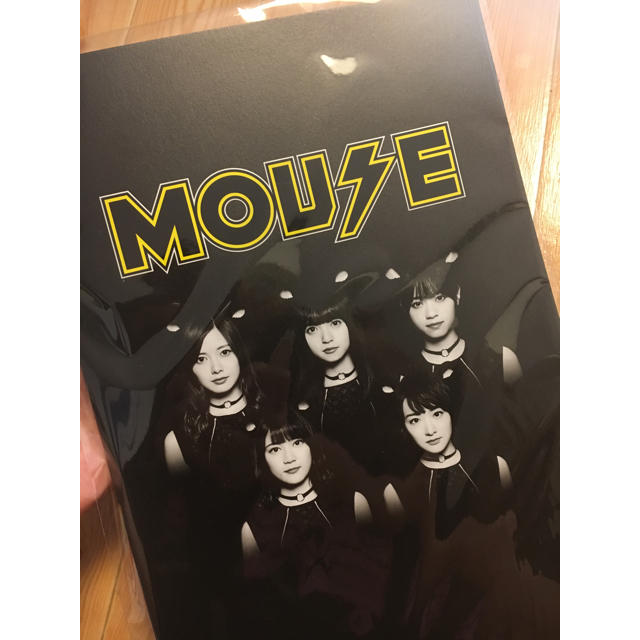 乃木坂46(ノギザカフォーティーシックス)の【乃木坂46】mouse 非売品 クリアファイル パンフレット エンタメ/ホビーのタレントグッズ(アイドルグッズ)の商品写真