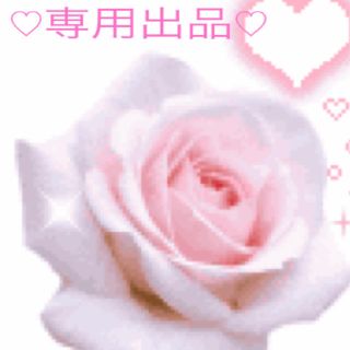 詩穂★プロフ必須様★専用(その他)