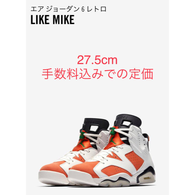 Nike  jordan 6 Gatorade ゲーターレードメンズ