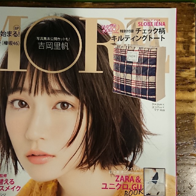 SLOBE IENA(スローブイエナ)のMORE 10月号 付録のみ レディースのバッグ(トートバッグ)の商品写真