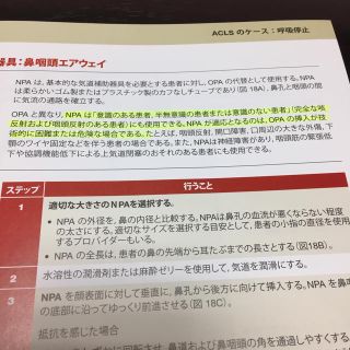 森の雑貨屋さん ACLSプロバイダーマニュアル - その他