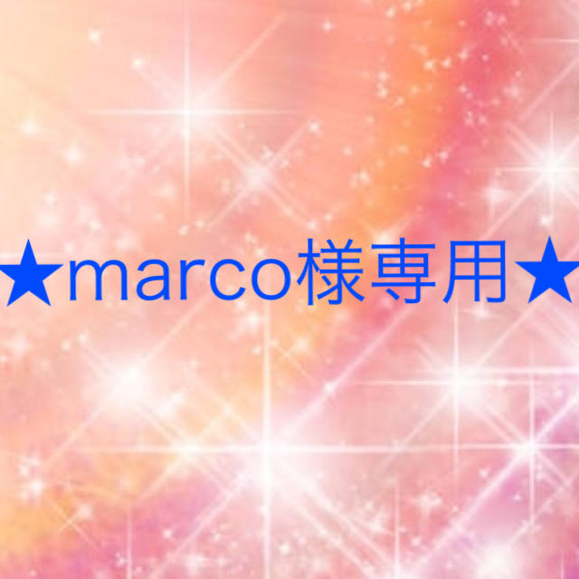 marco様専用 買い保障できる www.gold-and-wood.com