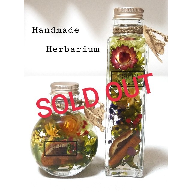 【即日発送】 ハーバリウム~botanical flower ~ プリザーブドフラワー 【即日発送】 ハーバリウム~botanical flower ~ プリザーブドフラワー