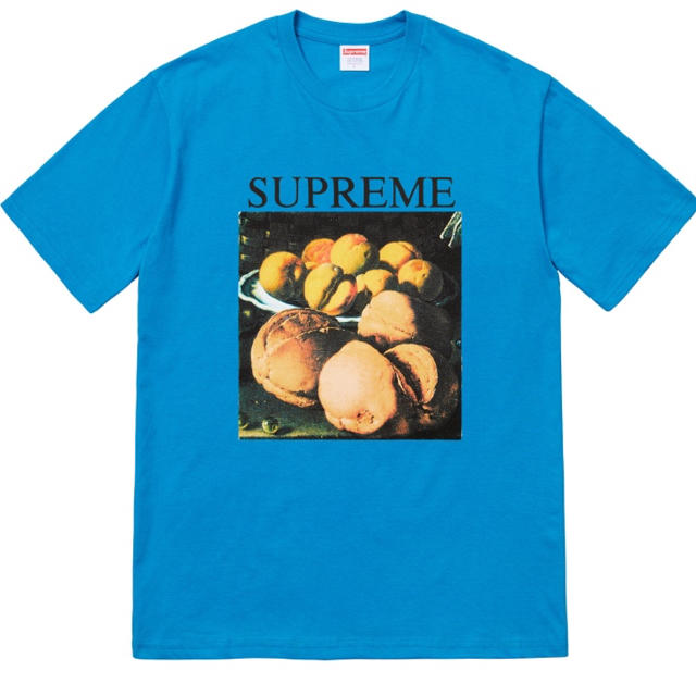 18FW Supreme Still Life Tee Lサイズ ブルー