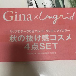 Gina 付録(その他)