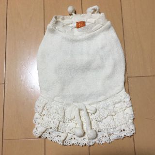 犬服  3s(犬)
