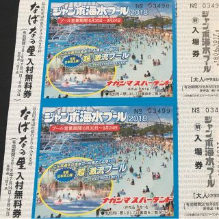 長島ジャンボ海水プール  大人2枚 送料込 最短発送