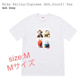 シュプリーム(Supreme)の【値下げ】Supreme/Mike Kelley  Tシャツ Mサイズ(Tシャツ/カットソー(半袖/袖なし))