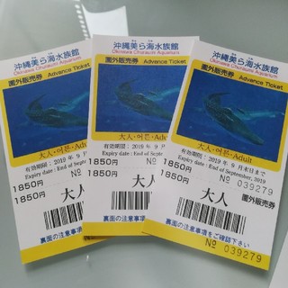 美ら海水族館　チケット(水族館)