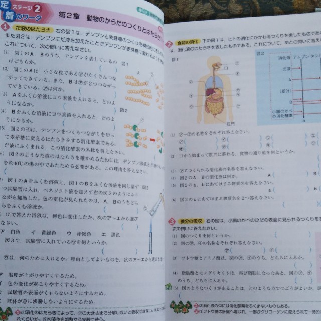 東京書籍 中学教科書ワーク 理科2年の通販 By ふわふわ S Shop