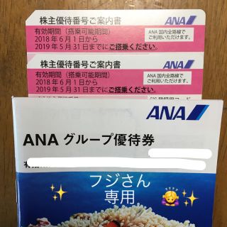 エーエヌエー(ゼンニッポンクウユ)(ANA(全日本空輸))のフジさん専用 ANA株主優待(その他)