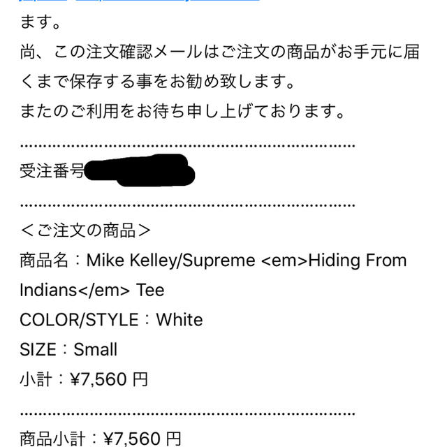Supreme(シュプリーム)のSupreme Hiding Indians Tee 白 S メンズのトップス(Tシャツ/カットソー(半袖/袖なし))の商品写真