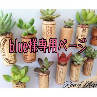 blue様専用ページです。(その他)