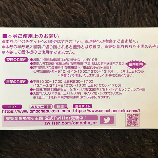 東条湖 おもちゃ王国 特別入園券 5枚 チケットの施設利用券(遊園地/テーマパーク)の商品写真