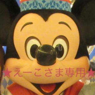 ディズニー(Disney)のえーこさま専用(キャラクターグッズ)