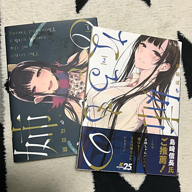 角川書店(カドカワショテン)の姉なるもの 1,2巻セット エンタメ/ホビーの漫画(青年漫画)の商品写真