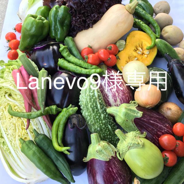 野菜セット 60 Lanevo9様専用 食品/飲料/酒の食品(野菜)の商品写真