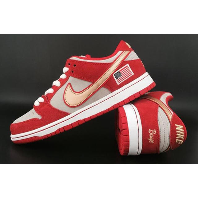 NIKE(ナイキ)のNIKE DUNK LOW PRO SB nasty boys 28.5 メンズの靴/シューズ(スニーカー)の商品写真