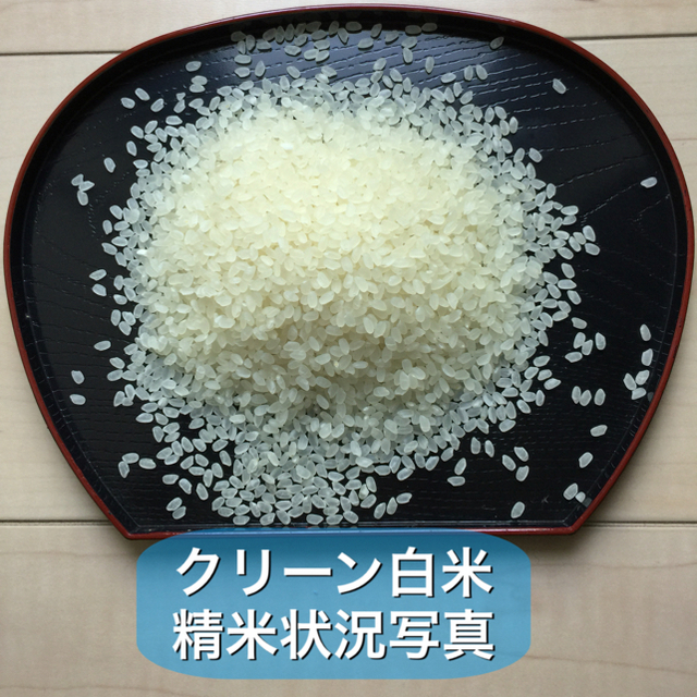 最後の1袋 お米18kg H29年鳥取県産 ひとめぼれ 《精米》 食品/飲料/酒の食品(米/穀物)の商品写真