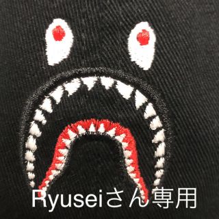 Ryuseiさん専用です(その他)