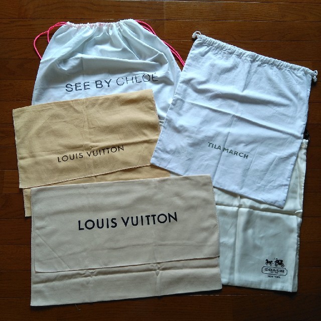 LOUIS VUITTON(ルイヴィトン)のルイヴィトン◇コーチ◇シーバイクロエ◇テラマーチ⭐保存袋5点 レディースのバッグ(ショップ袋)の商品写真