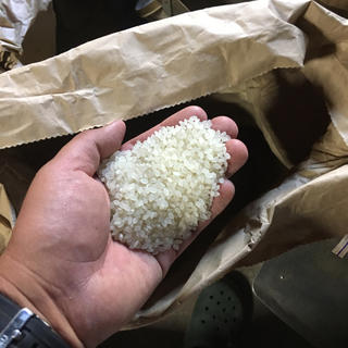 29年度産 コシヒカリ  白米 25kg 送料込み(6)(米/穀物)