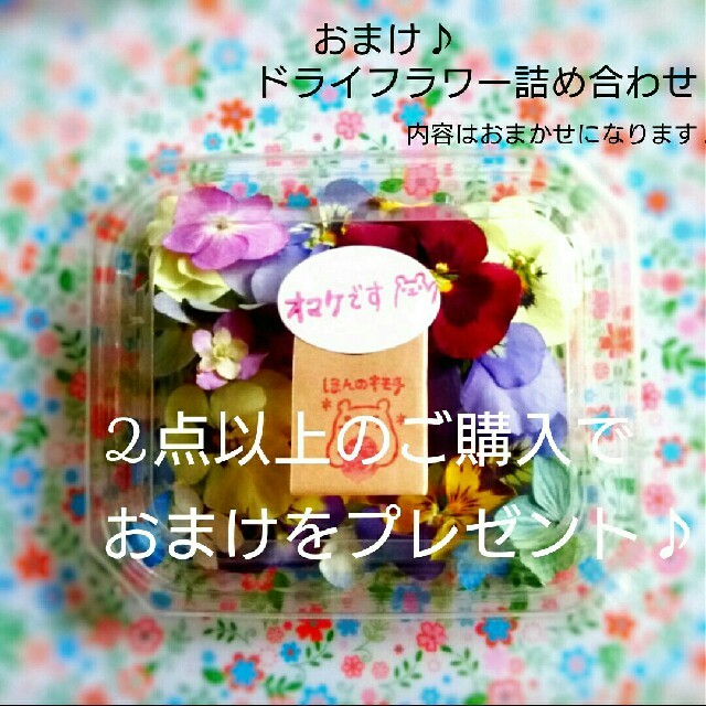 まるで生花♪ 紫陽花 ドライフラワー 鮮やかな発色 染色なし ハンドメイド ハンドメイドのフラワー/ガーデン(ドライフラワー)の商品写真