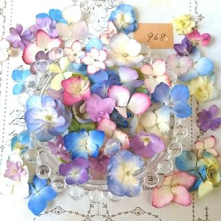 まるで生花♪ 紫陽花 ドライフラワー 鮮やかな発色 染色なし ハンドメイド(ドライフラワー)