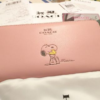 コーチ(COACH)のコーチcoachスヌーピーF53(財布)