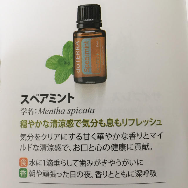 スペアミント ドテラの通販 By 福福shop ラクマ スペアミント ドテラの通販 By 福福shop ラクマ
