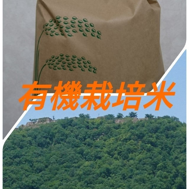 米10Kg　米/穀物