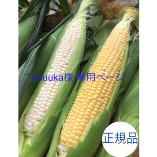 shuuka様 専用ページ(野菜)