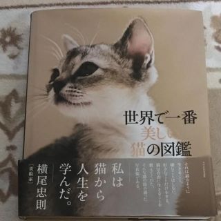 世界で一番美しい猫の図鑑(その他)