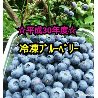 ☆平成30年度 冷凍ﾌﾞﾙｰﾍﾞﾘｰ☆1,5㌔(フルーツ)