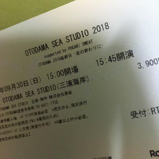 OTODAMA 音霊 9/30 チケット(音楽フェス)