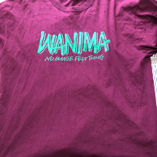WANIMA(ワニマ)のワニマ ピザオブデス Tシャツ エンタメ/ホビーのタレントグッズ(ミュージシャン)の商品写真